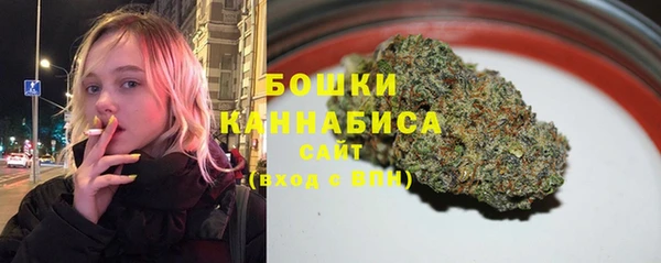 метадон Ельня