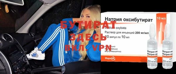 индика Елабуга