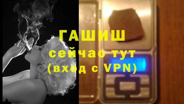 метадон Ельня