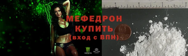 индика Елабуга