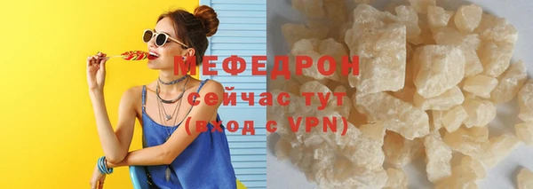индика Елабуга