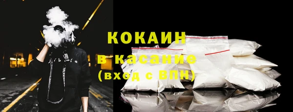 индика Елабуга