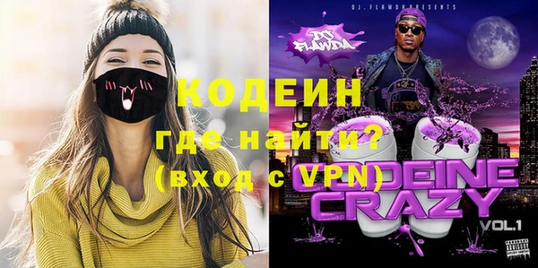 индика Елабуга