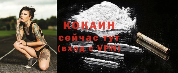 метадон Ельня