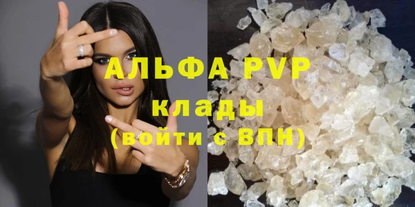 индика Елабуга