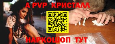 jwh Кингисепп