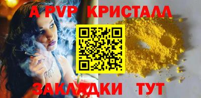 jwh Кингисепп