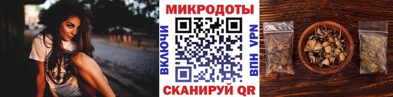 Псилоцибиновые грибы Psilocybe Кумертау