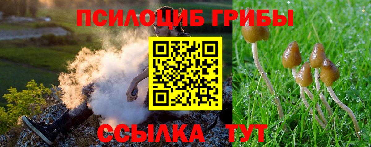 дарнет шоп  Псилоцибиновые грибы Psilocybine cubensis  Вход с VPN  Кумертау  Галлюциногенные грибы Magic Shrooms 